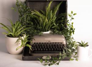 Typewriter with plants